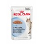 ROYAL CANIN CAT ULTRA LIGHT GRAVY